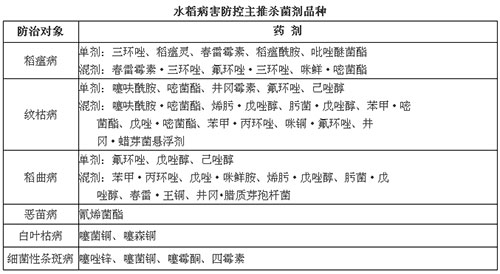水稻病害防控主推杀菌剂品种