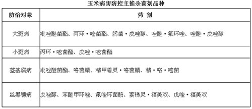 玉米病害防控主推杀菌剂品种